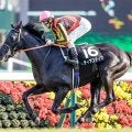 平成以降初の「3歳1勝クラス」でデビューVへ 矢作厩舎が“奇策”で米G1馬の仔を送り込む