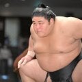 大相撲・伯桜鵬「苦しい時があったから」