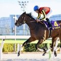 JRAジャナドリアが無傷の3連勝