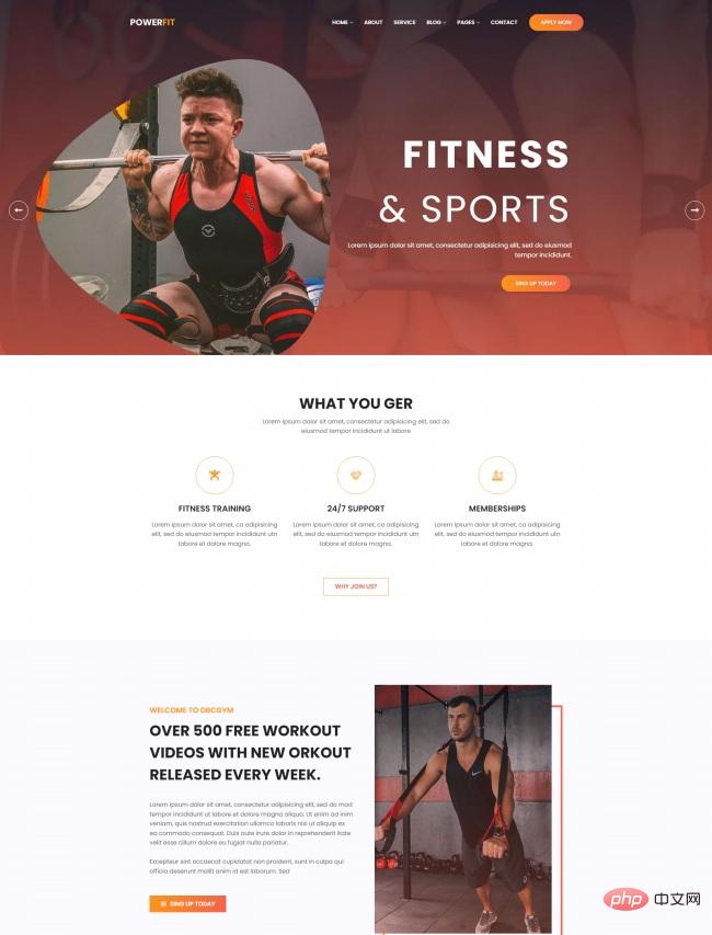 Sports and fitness training institution service website template