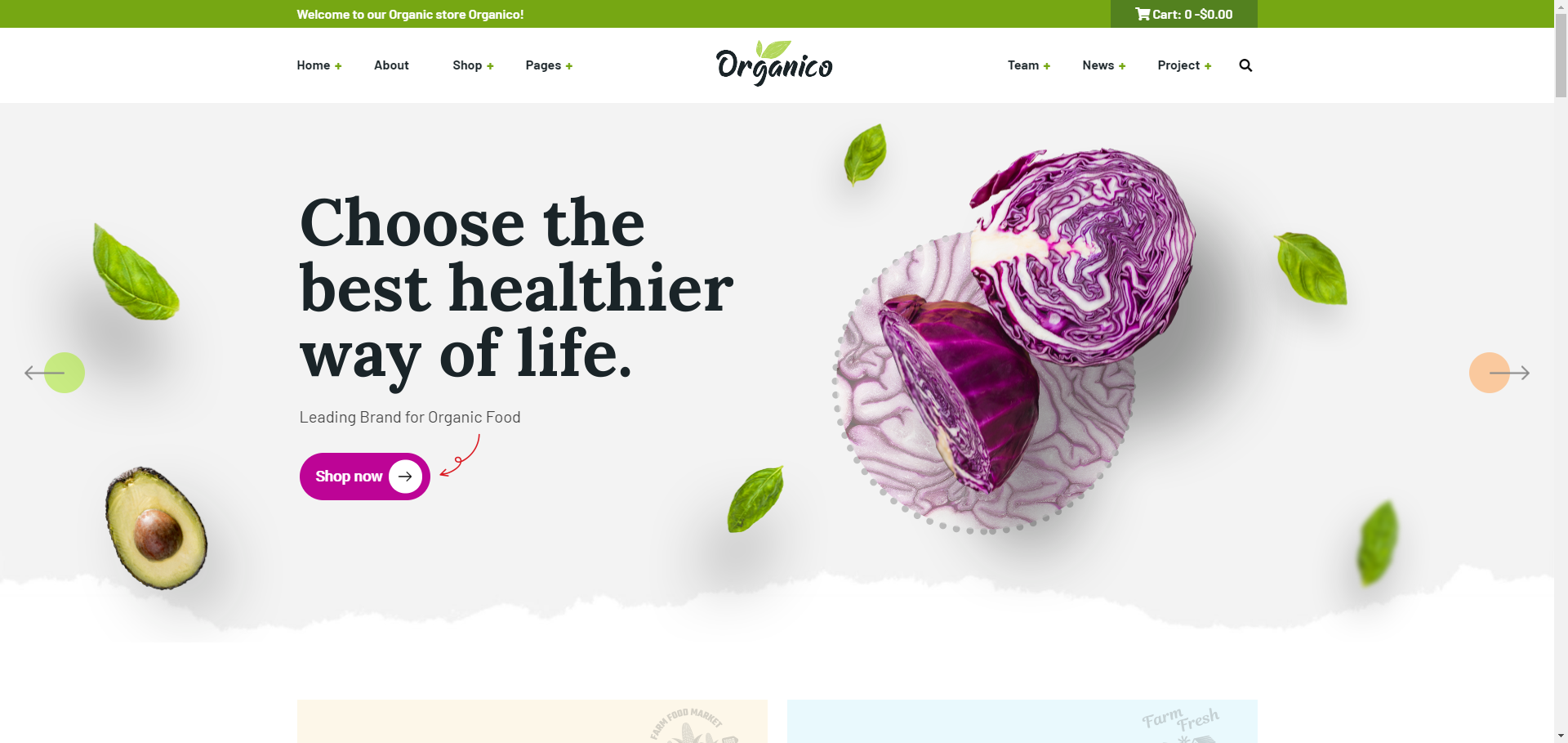 Responsive vegetable and fruit store website template-Organio