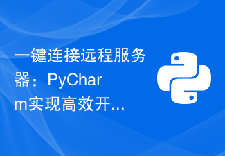 一键连接远程服务器：PyCharm实现高效开发方法