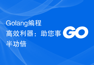 Golang编程高效利器：助您事半功倍