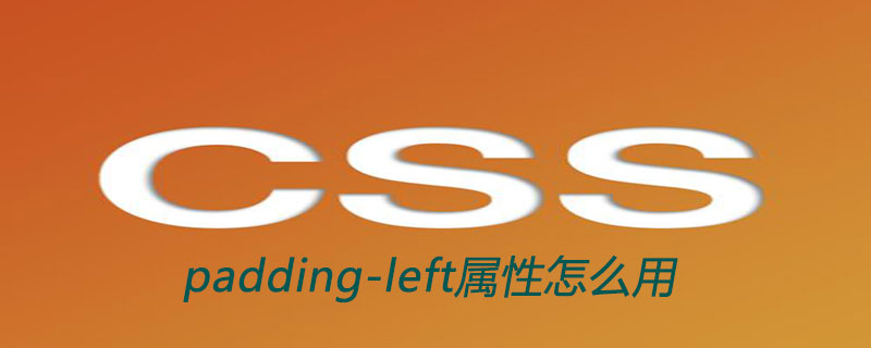 CSSのpadding-left属性の使い方