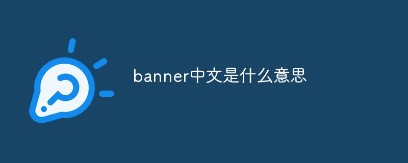 banner中文是什么意思