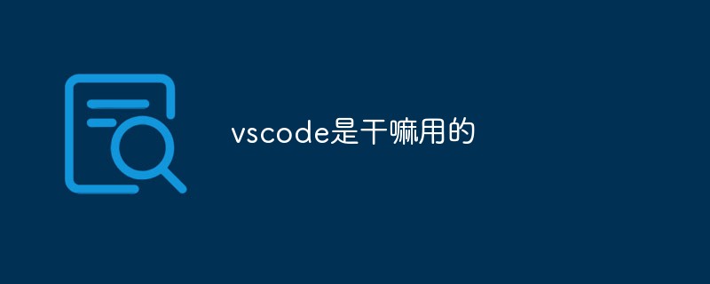 vscodeは何に使われますか?