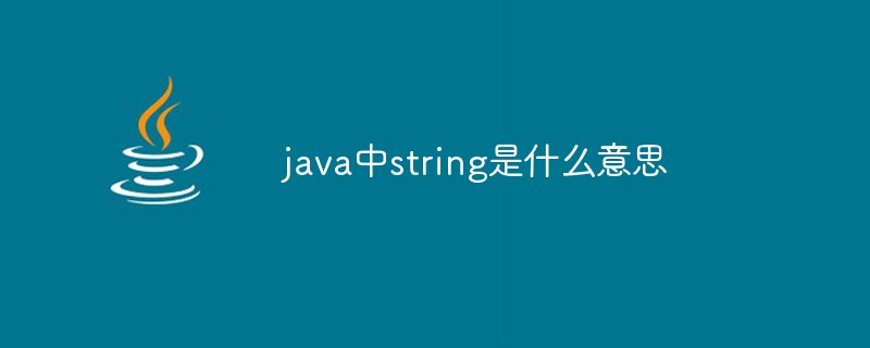 What does string mean in java