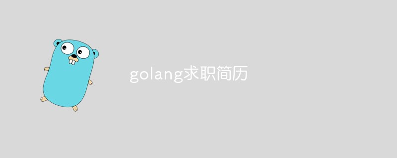 golang で仕事を見つけるにはどうすればよいですか? (履歴書のテンプレート)