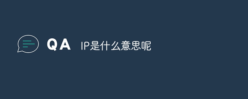 IP是什么意思呢