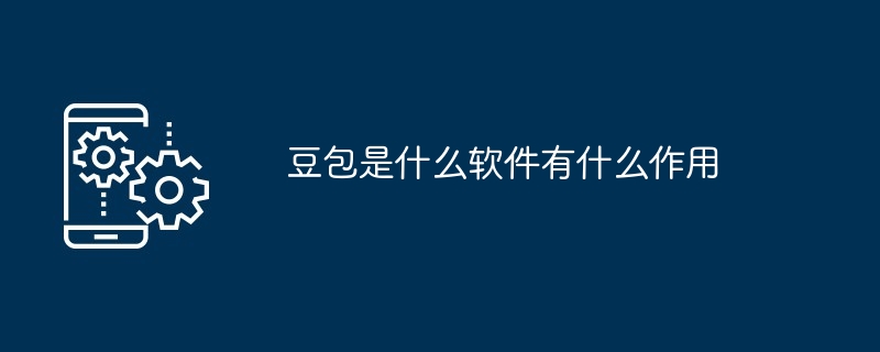 Doubao는 어떤 소프트웨어이며 어떤 기능을 합니까?