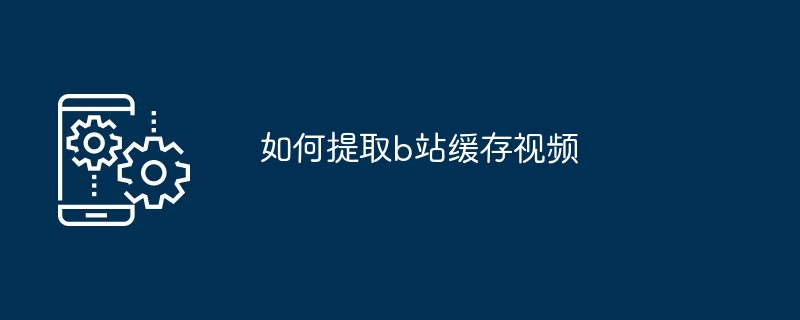 b 사이트에서 캐시된 동영상을 추출하는 방법