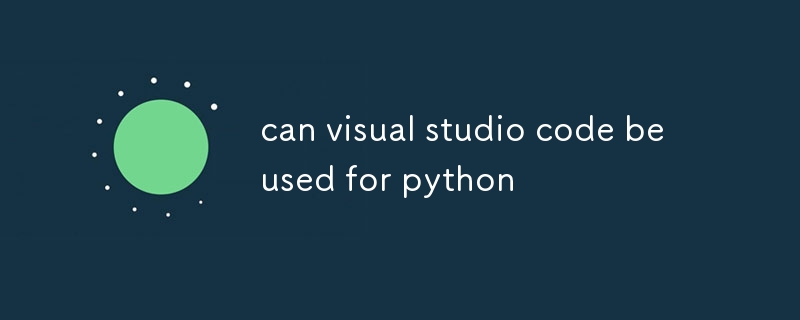 Visual Studio 코드를 Python에 사용할 수 있습니까?