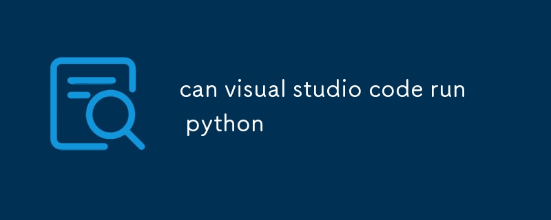 Visual Studio 코드에서 Python을 실행할 수 있나요?