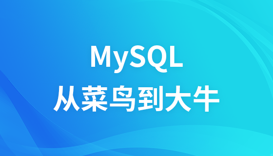 MySQL vom Anfänger bis zum Experten (Grundkenntnisse/Erweitert/Optimierung)