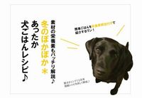 犬の手作り食レシピ、配布を開始しました＾＾