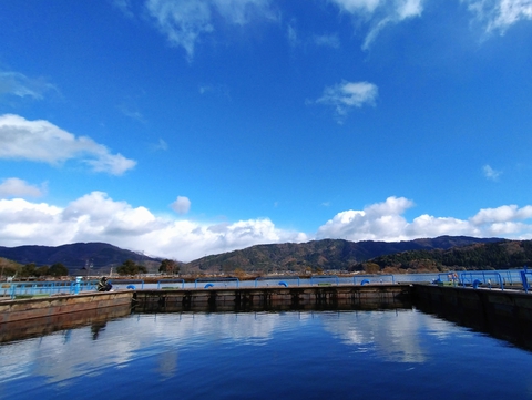 ワカサギ釣り 余呉湖 2024年12月19日 シーズン八回目　渋