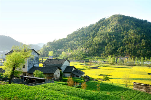 古韵西股村：乡土文化的一枚符号！