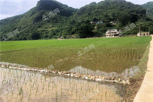 岚山区2016年农业支持保护补贴圆满发放,共发放资金1589万元