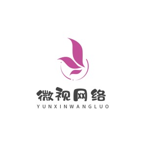 微视网络公司