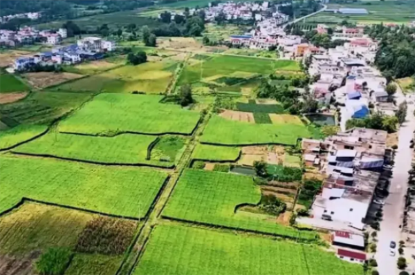 农文旅融合：乡村振兴的新业态与新场景