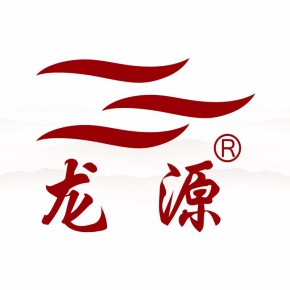 广州龙沅贸易有限公司