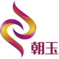 上海朝玉信息科技有限公司logo