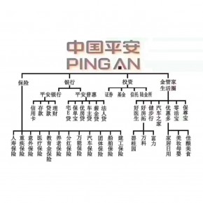 中国平安人寿保险股份有限公司达州中心支公司