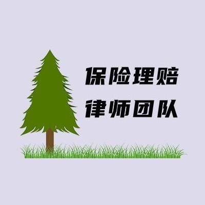 西城区人身损害律师-保险理赔王律师