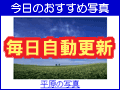 毎日自動更新。「今日のおすすめ」欄を作る