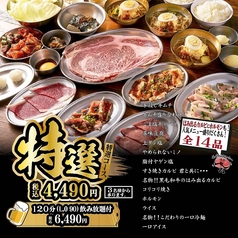 大阪焼肉 ホルモン ふたご 町田店の特集写真