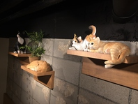 猫屋の猫ちゃん！店内はまさに猫のパラダイス♪