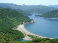 海の幸豊かな南島の海