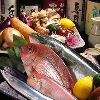 【こだわりの厳選食材】毎日買い付ける鮮魚