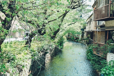 diningbar Len レン 京都河原町の雰囲気1