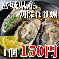 宮城朝採れ牡蠣1個150円/産地直送/超新鮮.朝まで海の中