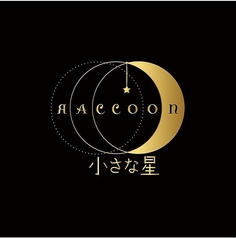 小さな星 Raccoonの写真