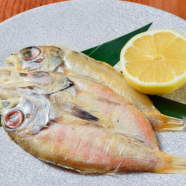 あほう鳥のおすすめ料理1