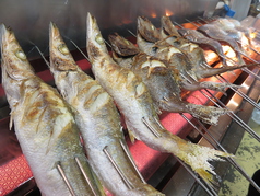 浜焼き屋台かぶすやの写真