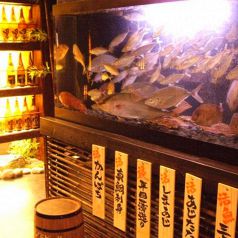 【店内感染症対策に取り組んでいます！】入り口には活魚水槽