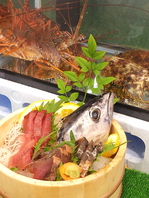 愛南直送の新鮮な魚介類♪