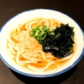 料理メニュー写真 かけうどん・きつねうどん・月見うどん・わかめうどん・天ぷらうどん