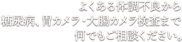 よくある体調不良から 糖尿病、胃カメラ・大腸カメラ検査まで 何でもご相談ください。