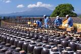 黒酢の壺がズラリと並ぶ、鹿児島・霧島ならではの壺畑が広がる風景