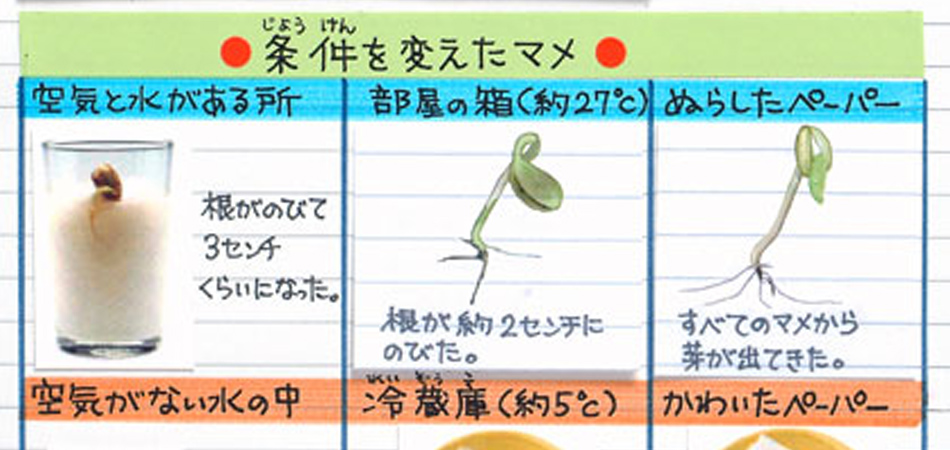 観察日記にまとめよう！