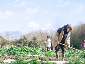 MICRO FARMERS SCHOOL