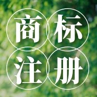 正规外企代理记账报税托管服务 天津河西