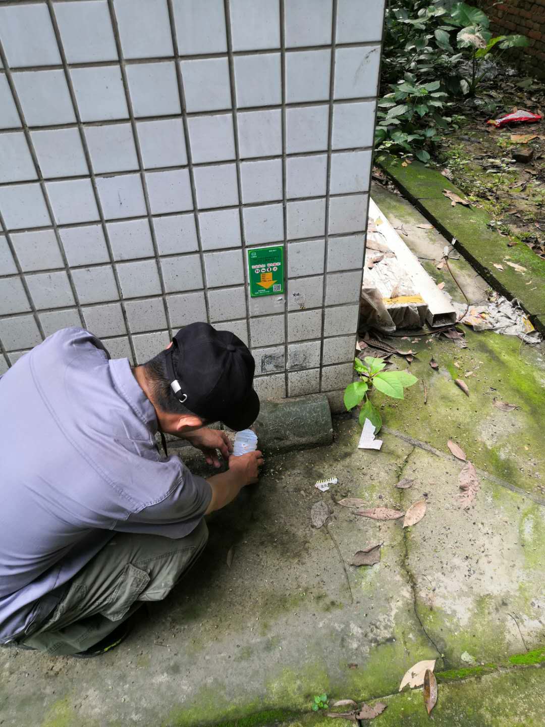 除四害 泸州家庭除虫防治 上门服务