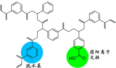 广州固相萃取柱 wcx