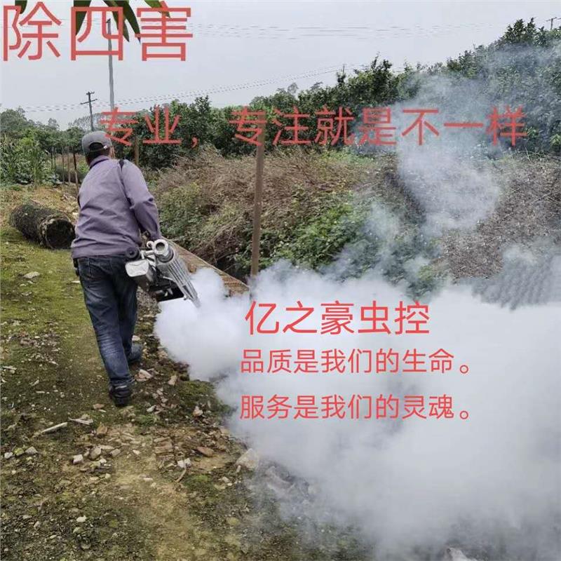 玉林市水坝灭蟑螂