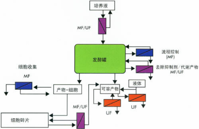 福建制药切向流过滤系统源头厂商 长石生物上海供应